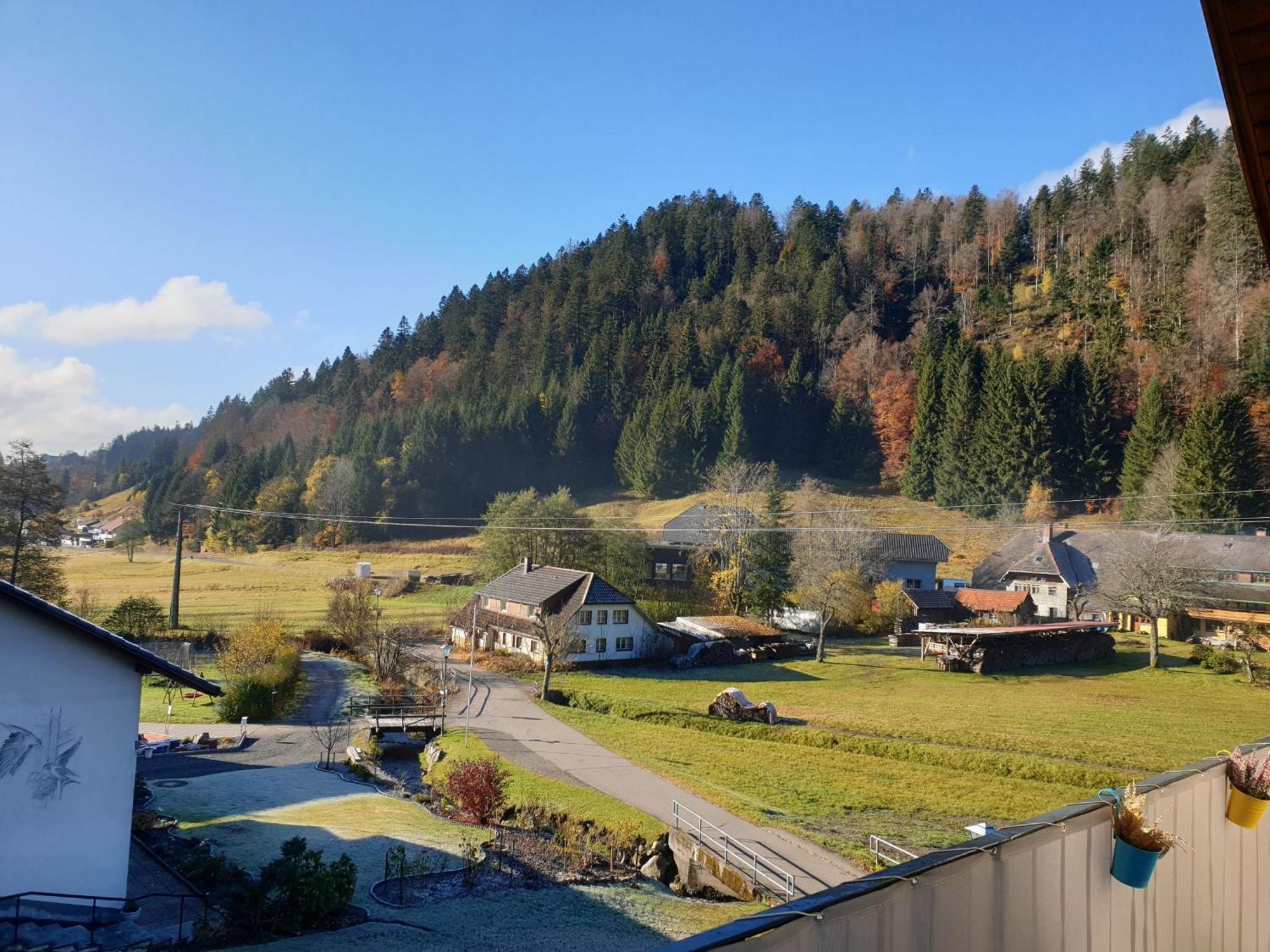 Haus Johanna Todtmoos Buitenkant foto